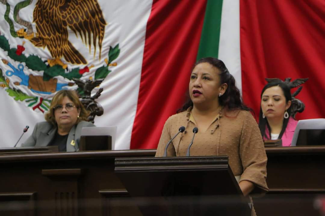 Congreso, obligado a ampliar facultades del ejército para garantizar seguridad en Michoacán: Seyra Alemán