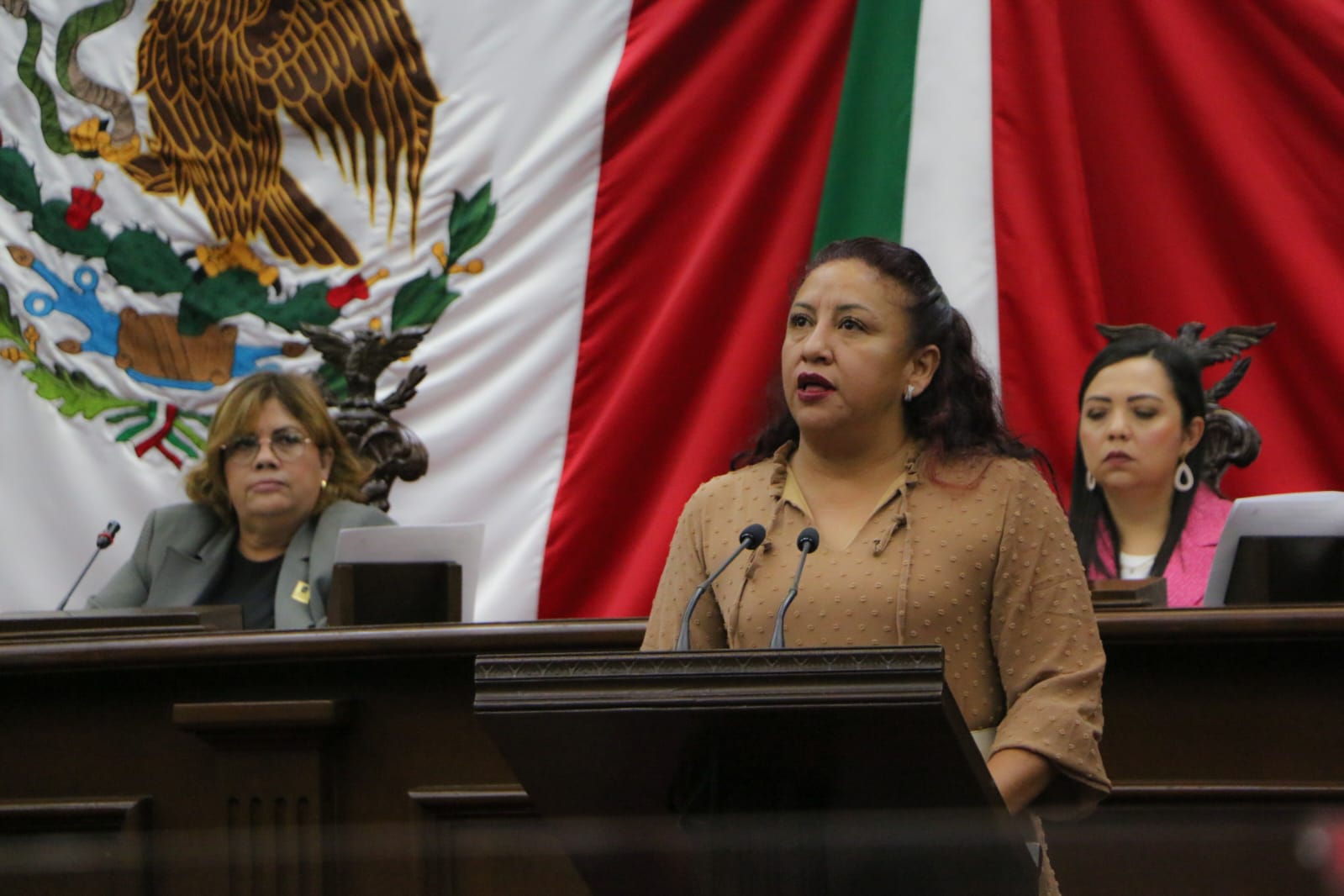 Comisión Inspectora del Congreso, una oficialía de partes para ASM: Seyra Alemán