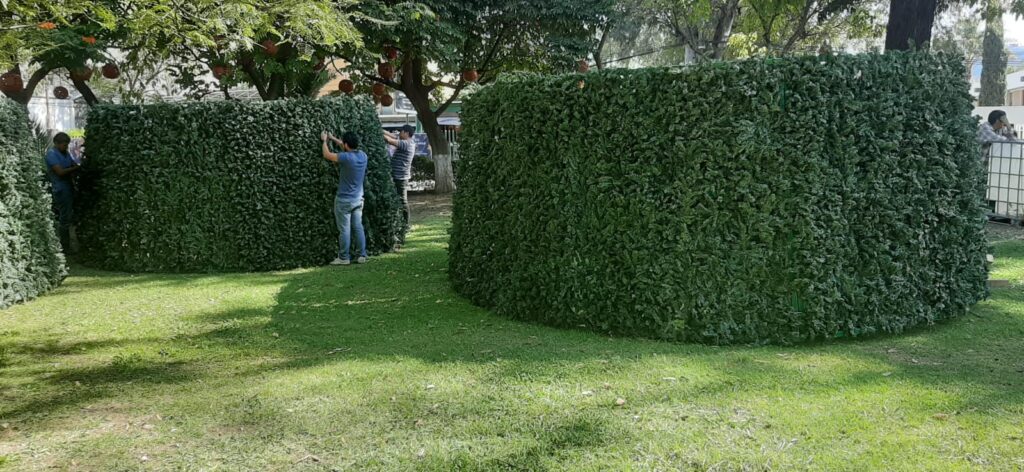 Llegó el árbol monumental a la Villa Navideña