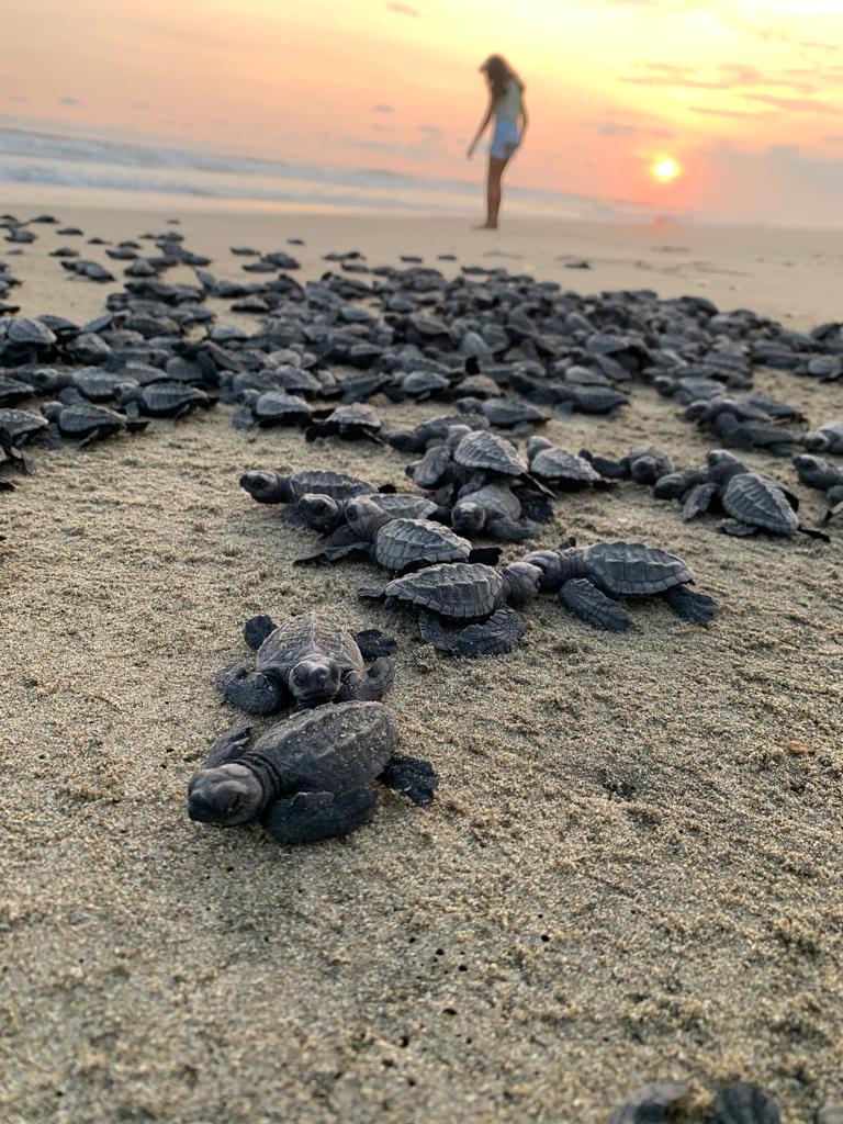 Invita Sectur a pasar el invierno en las playas de Michoacán