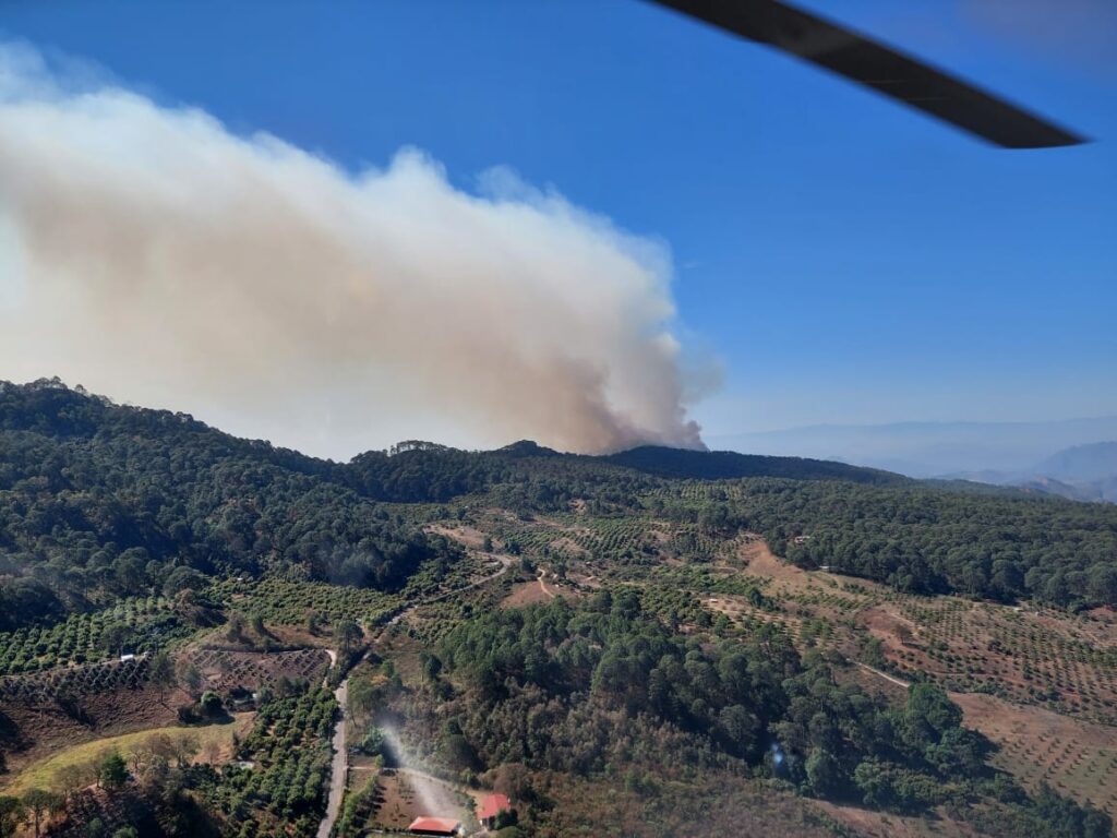 Sofocan incendio forestal en Cotija, reporta Cofom