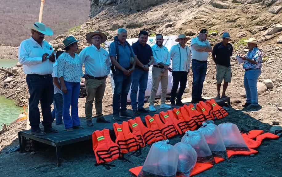 Compesca siembra 75 mil crías de tilapia en presa Francisco J. Múgica