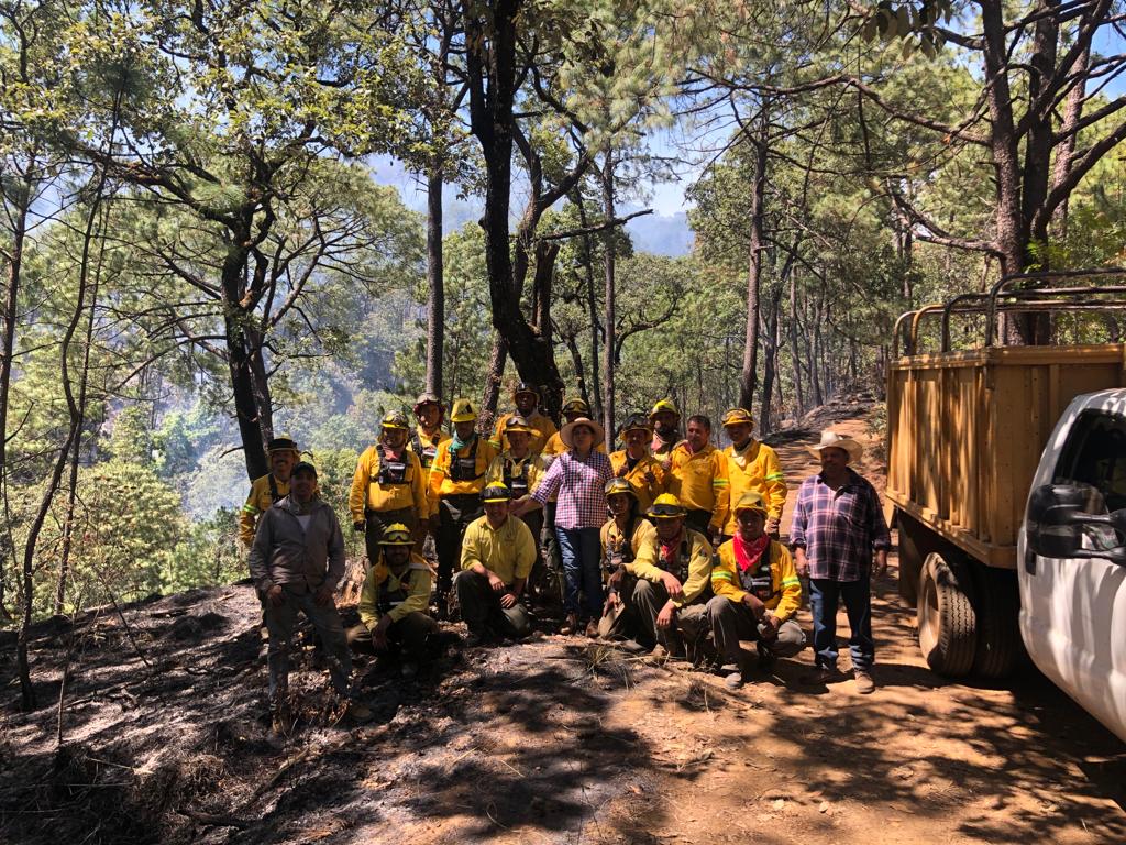 Un fuerte incendio en Peribán Consumió hectáreas de bosque