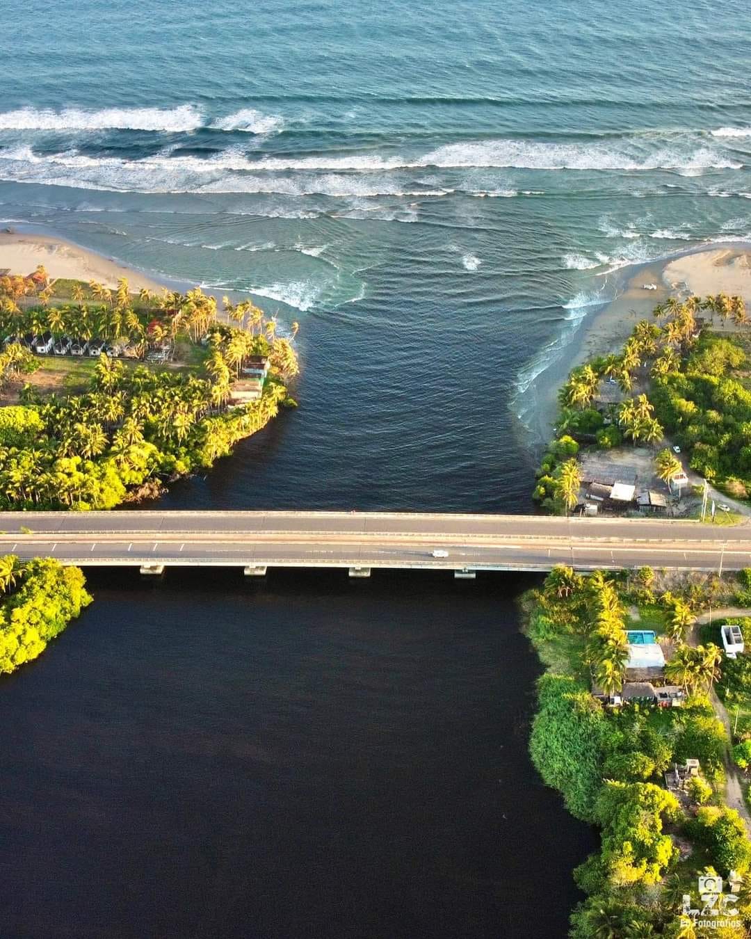 Tortugas, paisajes y otros atractivos, este verano en las Playas de Michoacán