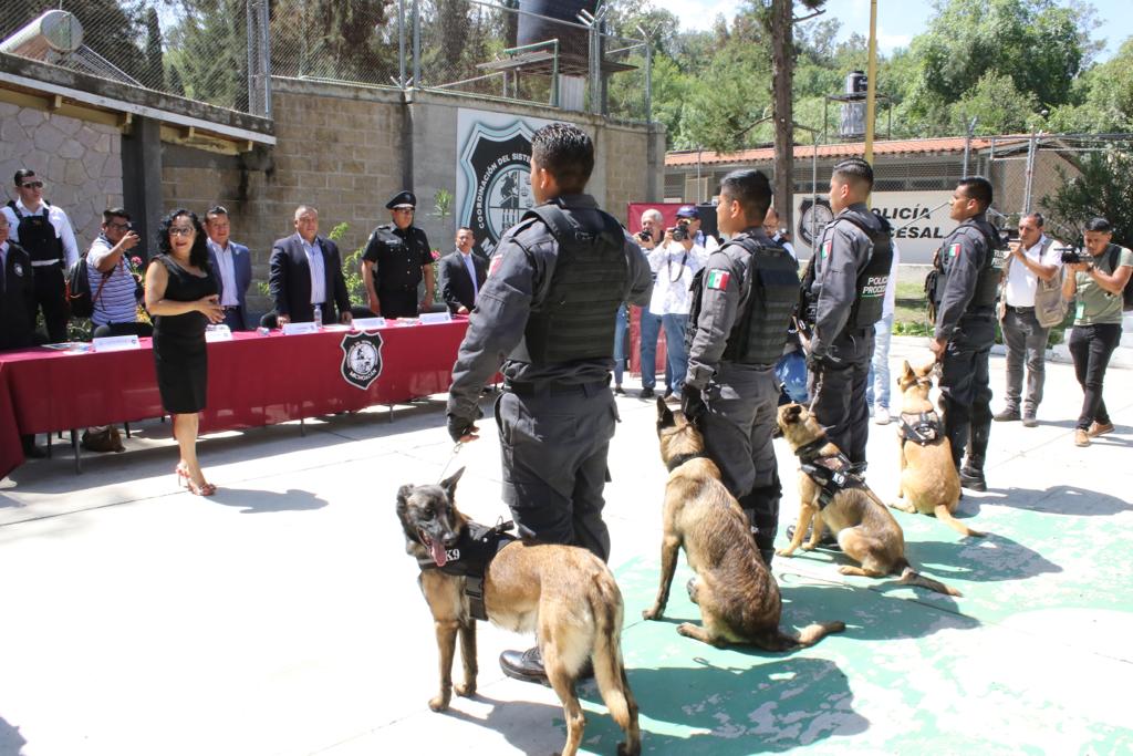 Dona Sistema Penitenciario elementos caninos a Comisión de Búsqueda de Personas