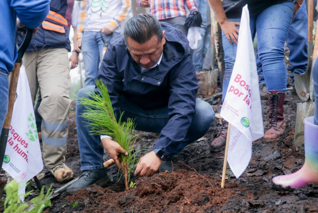 Encabeza Torres Piña reforestación en cerro La Escalera