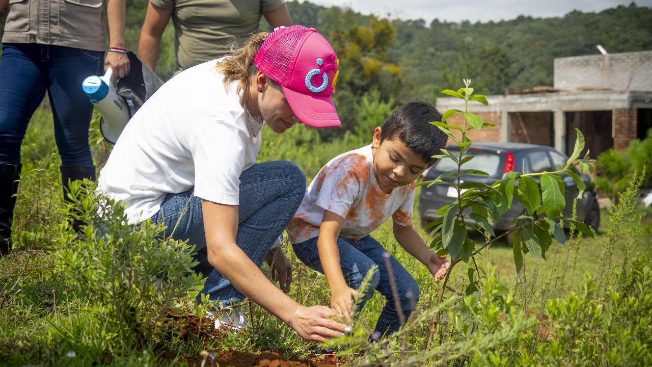 Un Día de Amor por la Naturaleza: La Diputada Daniela De Los Santos Encabeza Reforestación en Umécuaro.