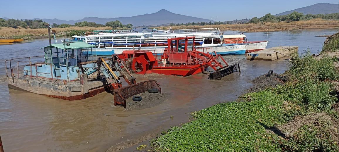 En operación permanente, brigadas de limpieza en el lago de Pátzcuaro: Compesca