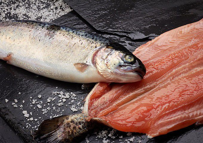 Mañana, último día de venta de pescados y mariscos en módulos de la Compesca en Morelia