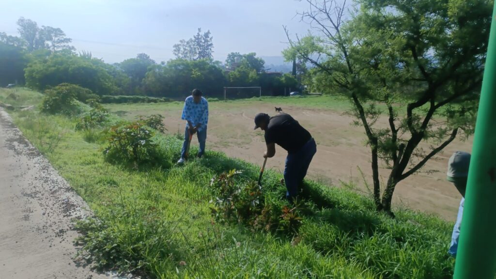 El Buen Gobierno de Tarímbaro plantó 200 pinos en el marco del Día del Árbol