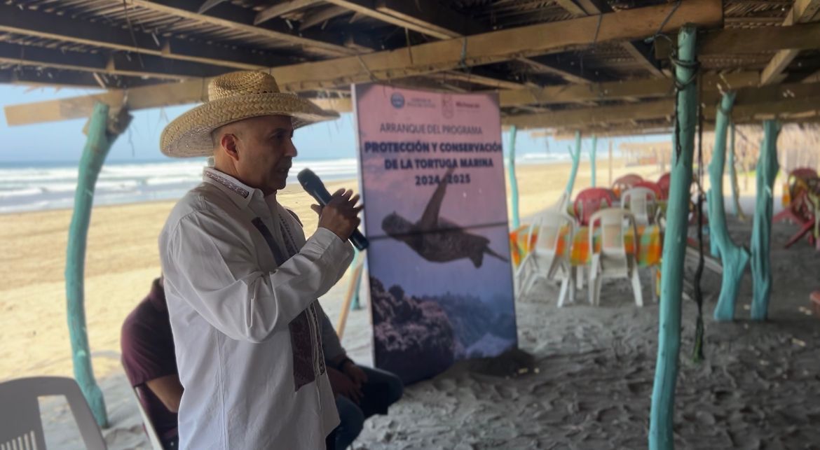 Proyectan liberar 2 millones de tortugas marinas