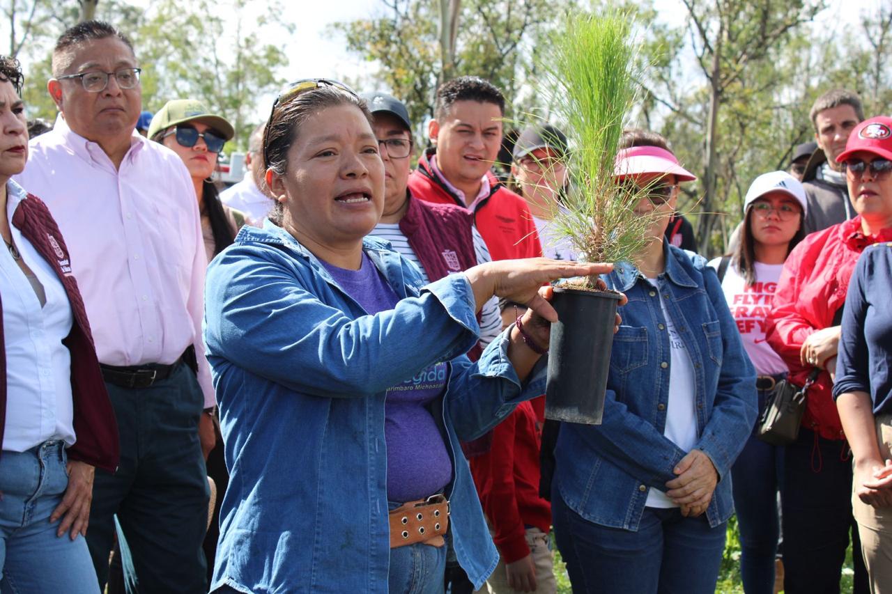 Arranca Gobierno estatal reforestación de Áreas Naturales Protegidas