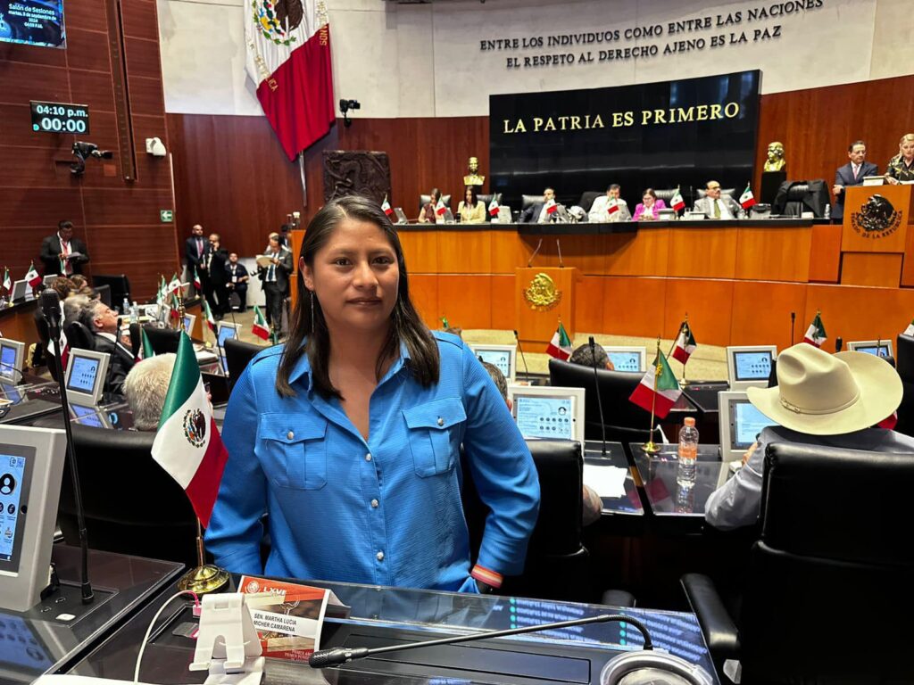 Designan a Celeste Ascencio presidenta de la Comisión de Derechos Humanos en el Senado de la República