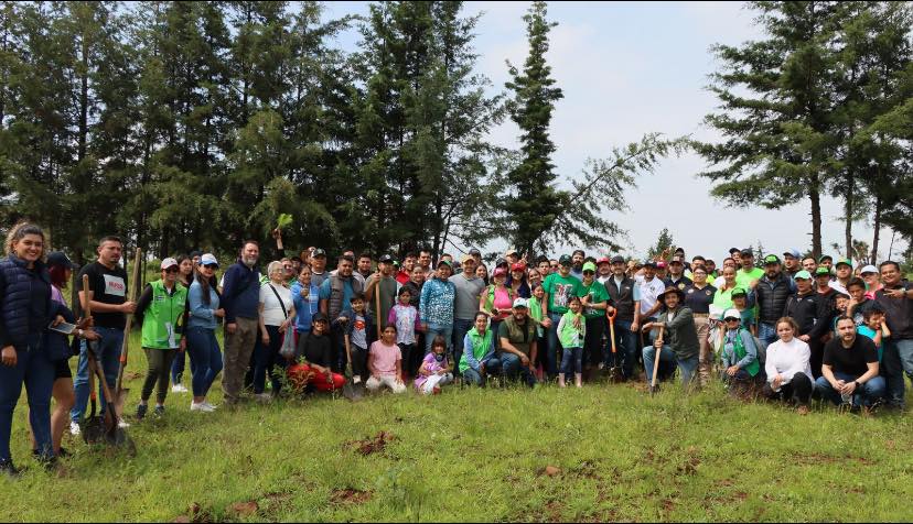 Cumple Partido Verde Michoacán con primera etapa de la reforestación.