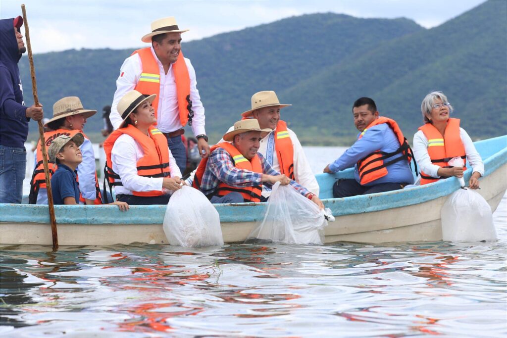 Arranca Gobierno estatal siembra de un millón de crías de tilapia en el lago de Cuitzeo.