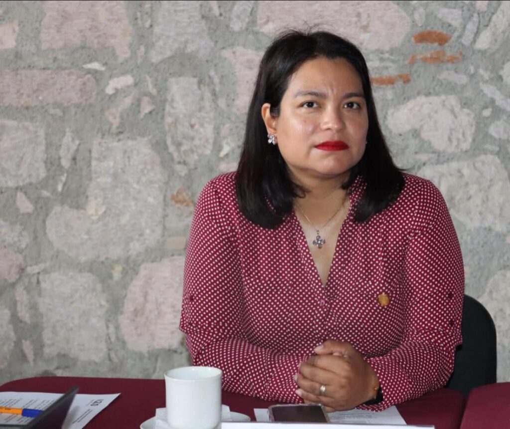 Garantizar transparencia, prioridad en proceso de designación de auditores especiales: Eréndira Isauro